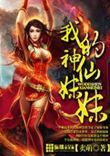 我的神仙姐姐