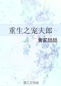 重生之宠夫日常阅读