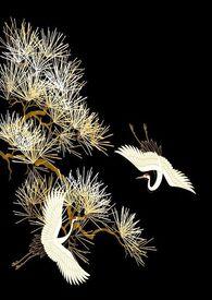 烬余录张爱玲散文