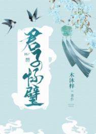 君子怀璧by木沐梓txt