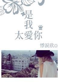 是我太过爱你