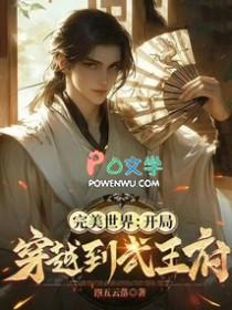 穿越完美世界之开局无敌