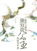 贫穷与贵公主原著