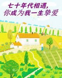 七十年代携手一生大结局