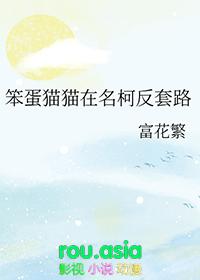 笨蛋作者