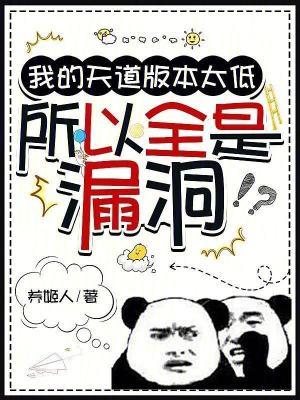 所以全是漏洞无防盗全文免费阅读