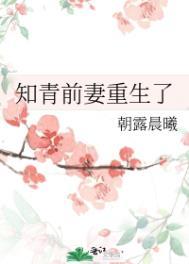 知青前妻重生了全文阅读
