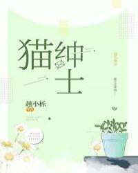 绅士猫照片