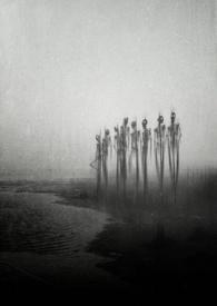 异变(科幻 恐怖 人外 np)