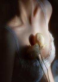 疯狗成群by笔趣阁