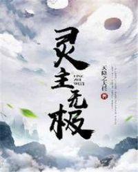 灵主无极等级