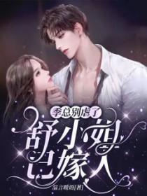 男主叫季总的