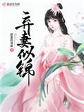 免费阅读全本弃妻似锦