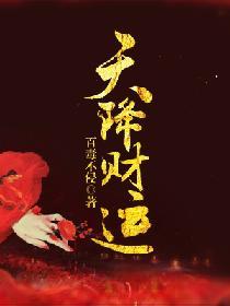 天降财运原著