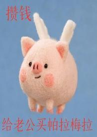 攒钱给老公买帕拉梅拉by金叶子