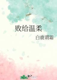 败给温柔怎么样