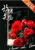 玫瑰先生歌曲