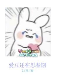 爱豆全文