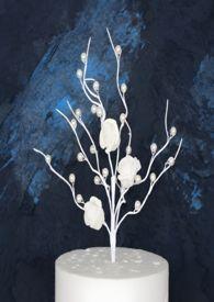 禁果效应by冷清