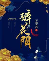 醉花阴适合写什么题材?