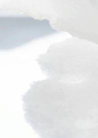 病娇校园推荐