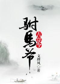 古穿今之驸马爷txt