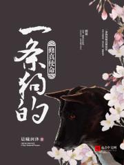 一条狗的使命 原图