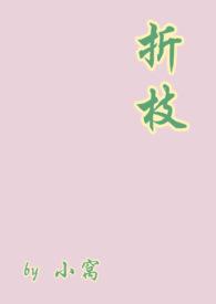 折枝伪骨科百度