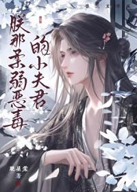 朕柔弱不能自理女尊全文免费