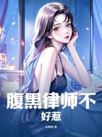 腹黑律师太危险书包网