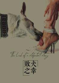 败犬txt