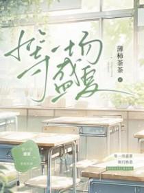 盛夏的等待