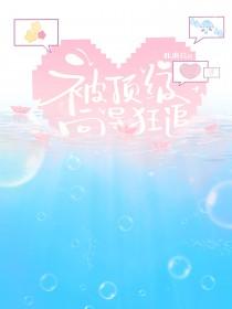 顶级向导(n/P)