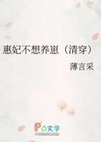 清穿慧妃同人文