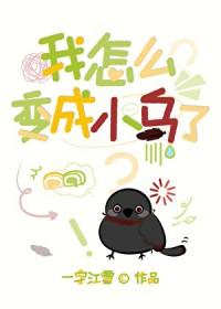 刀剑乱舞同人文女主