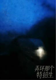 弄坏