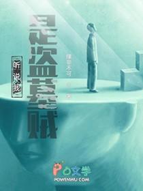 听说我是盗墓贼结局是什么