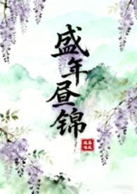 盛年盛况是什么意思