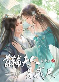 首辅夫人是戒尺txt免费