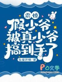 真假少爷he了
