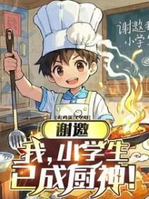 已成厨神