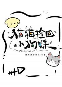 捡一只猫回家