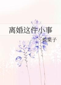 离婚这件小事全文免费阅读