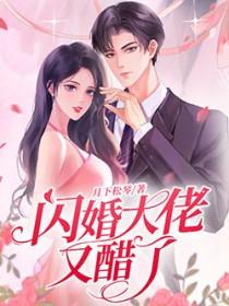 闪婚大佬宠娇妻完结