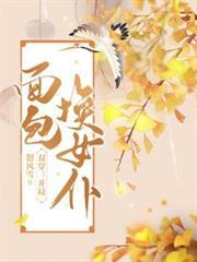 双穿开局面包换女仆txt