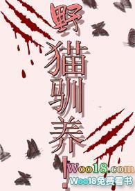 野猫驯养by栖绿