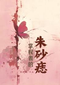 掌权者是什么类型的书