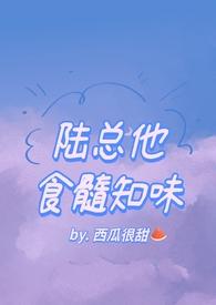 陆总他食髓知味西瓜很甜全文