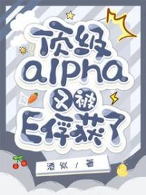 顶级alpha的抵