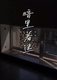 暗里着迷(伪,np)